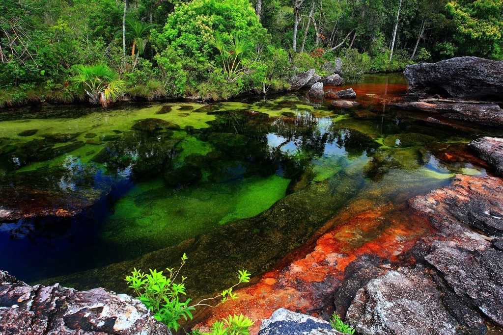 Río de Cinco Colores, Caño Cristales, Colombia